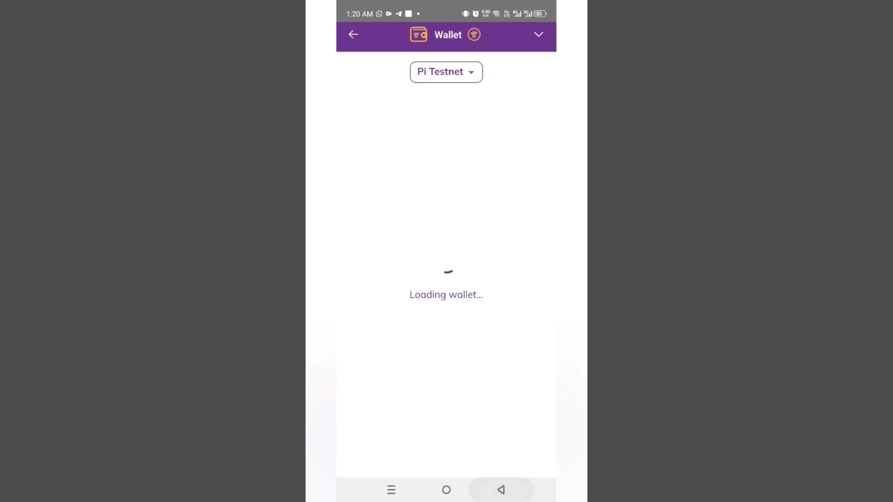 New Pi Wallet Balance Feature 😱 #shorts #pi #pibrowser #pinetwork #piwallet #airdrop#online #kyc