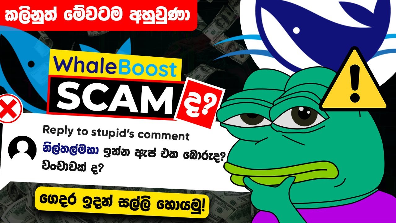 Whaleboost Scam or Legit? | E Money Scam Alert