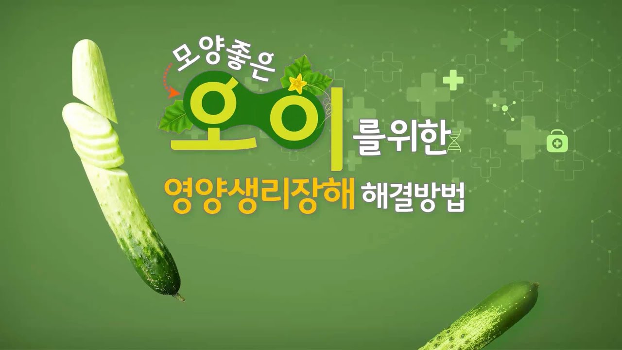 오이 영양생리장해 해결방법