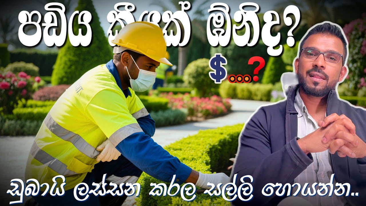 පඩිය කීයක් ඹ්නිද? ඇහුවම වචන පටලගන්න එපා! ඩුබායි ලස්සන කරල සල්ලි හොයන්න. Dubai, UAE