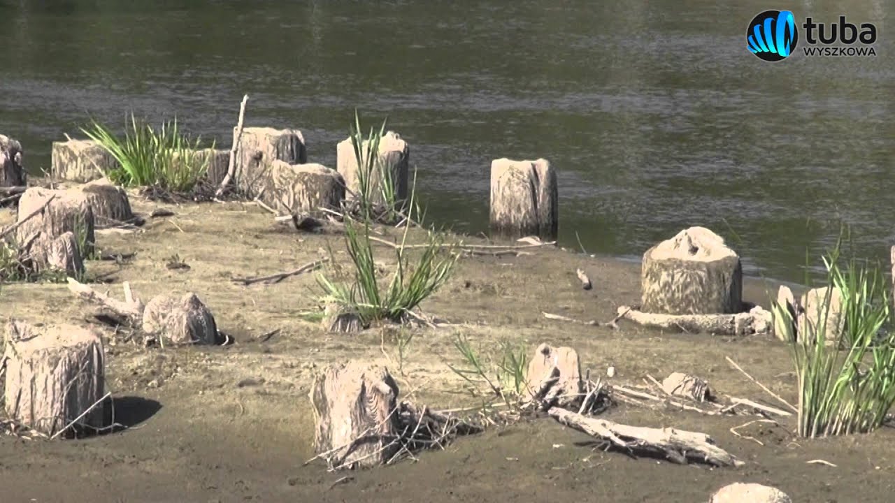 ŚLADAMI HISTORII: Widziałem, jak bombardowali Wyszków