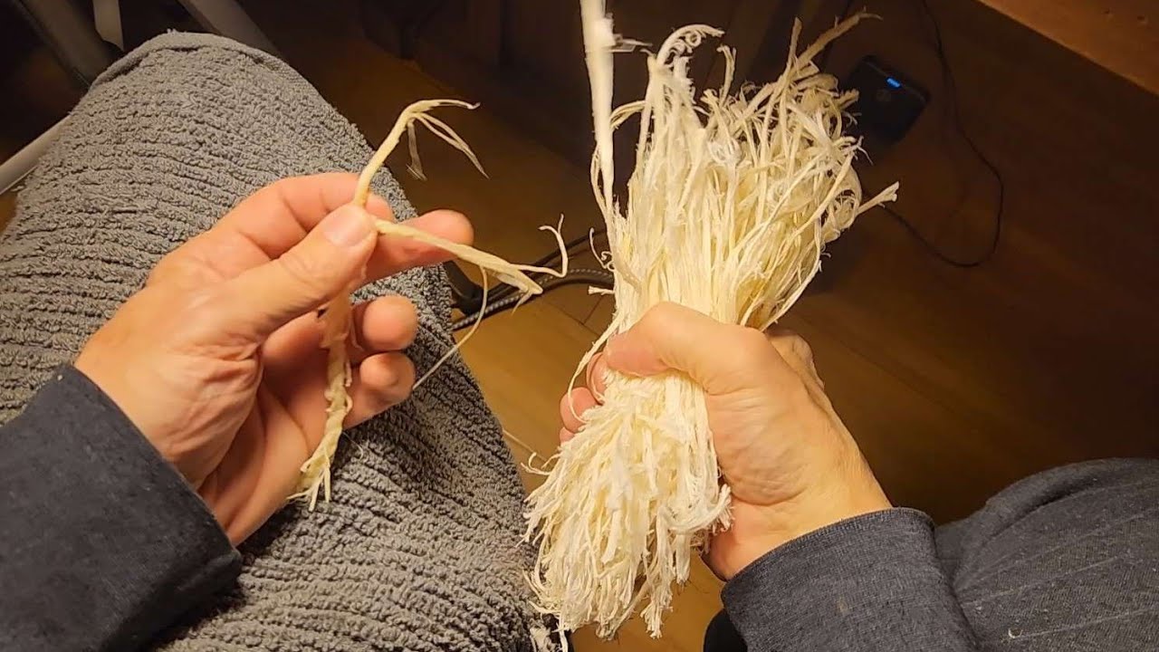 2103 - Part 1 - Making a Deer Leg Sinew String