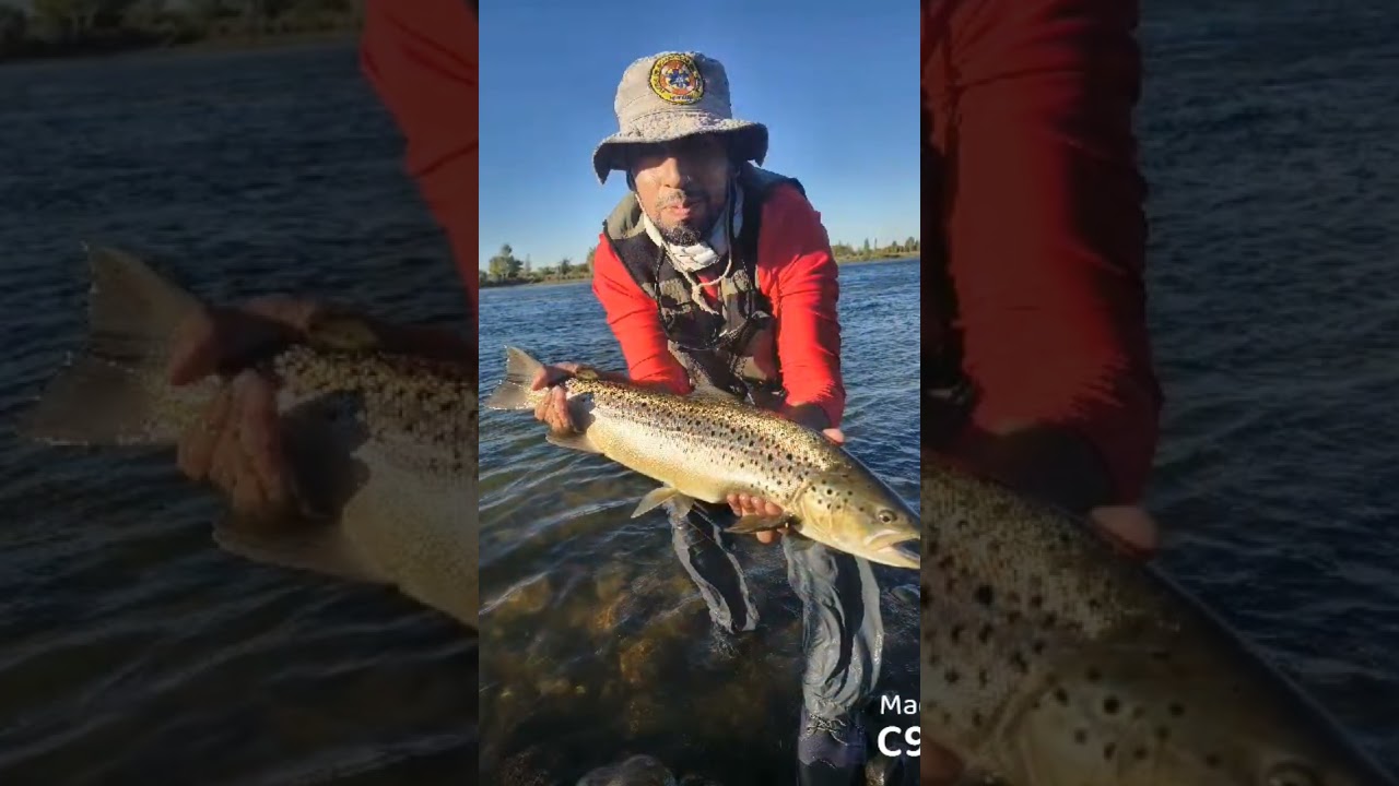 Salidita del sábado Limay Medio junto a los chicos de Moscas Neuquen