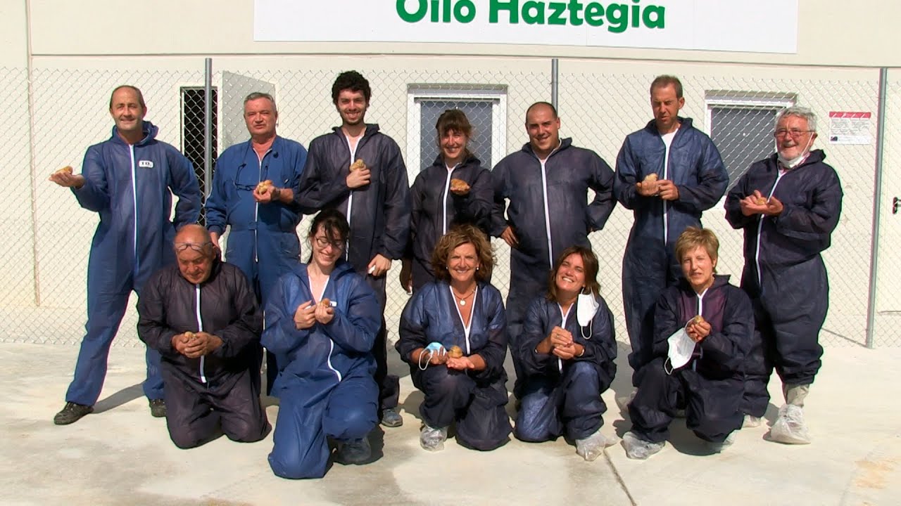 Euskaber Oilo Haztegia - Euskaber granja de recría de gallinas