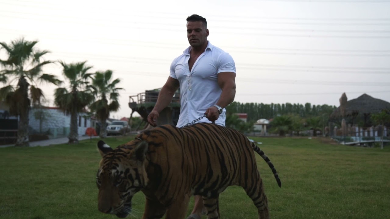 Cafy Fabio playing with tigers!! 🐅😱