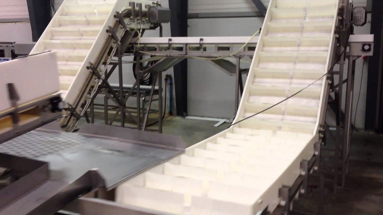 Big Marel Grader/Batcher for sale  8 stations  for Whole cod, Haddock, pollack