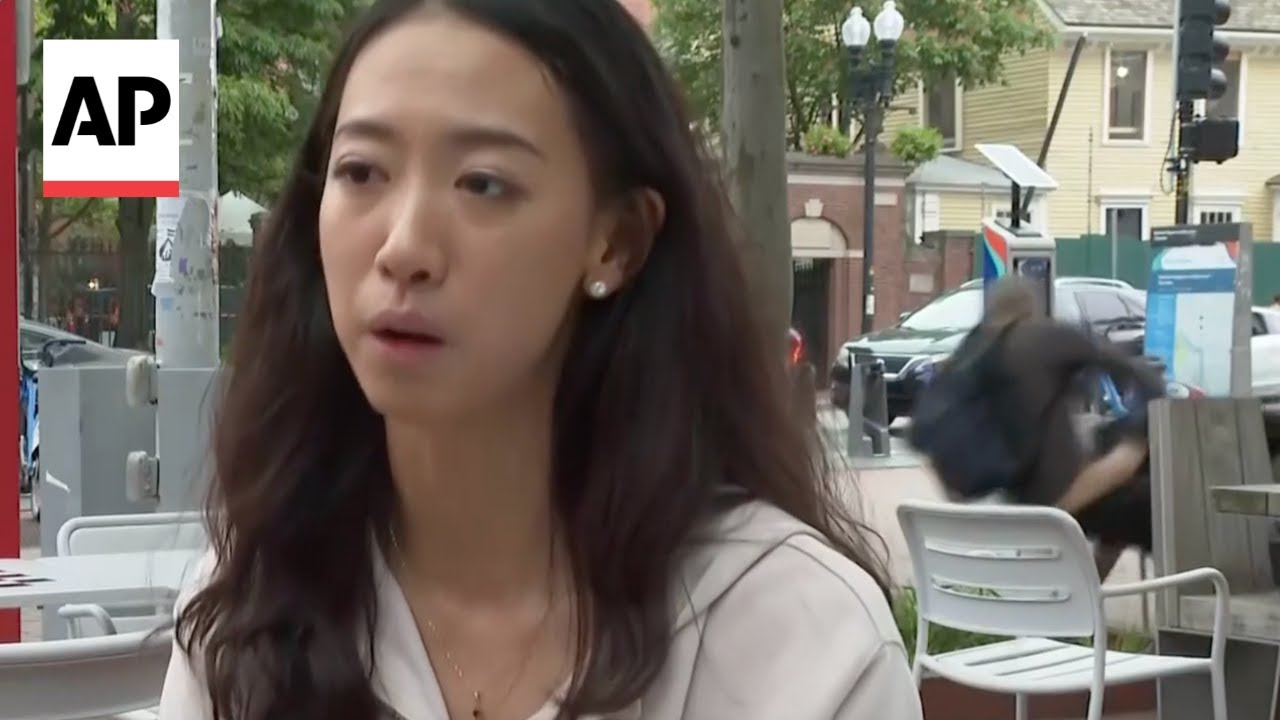 Fight breaks out behind Harvard graduate during interview on recent divisions