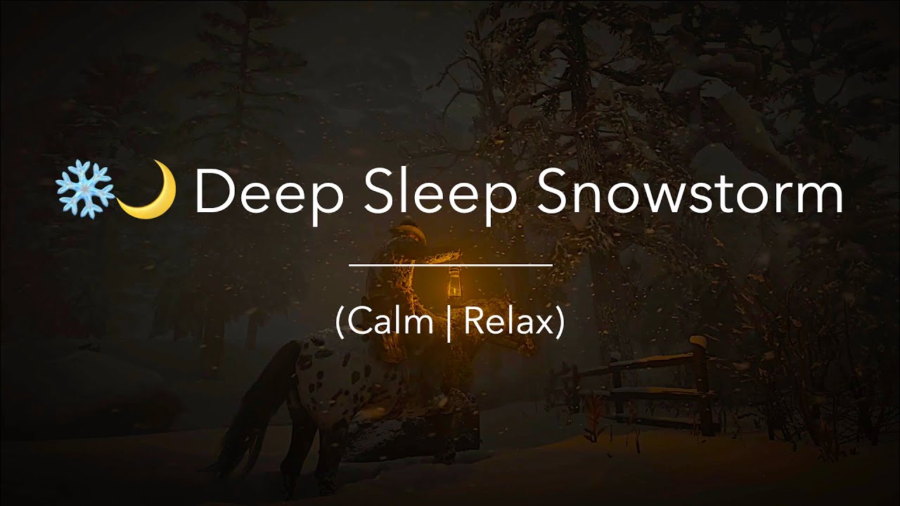 ❄️ Snowstorm Night Ride | Relaxing Blizzard Ambience for Deep Sleep & Calm (4K)