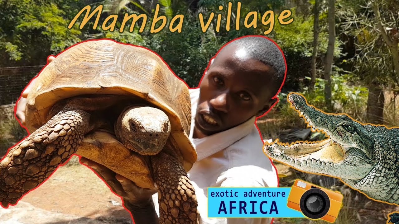Exotic Adventure in Africa #8 – Nairobi Mamba Village and National Museums of Kenya/ 2018 napisy PL