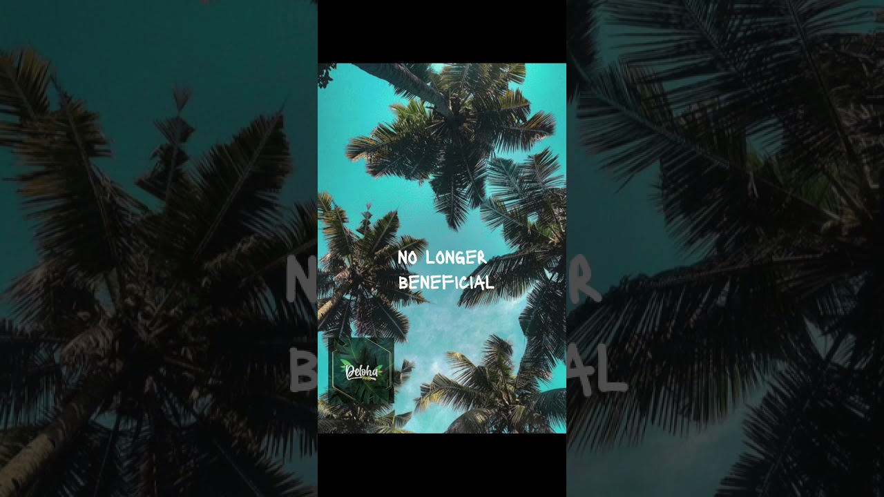 no longer beneficial - Deloha AfroChill Remixxx w Lyrics 🇻🇺💯✨