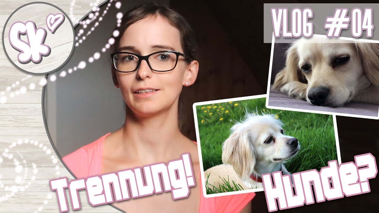 Trennung von Fabi 💔 & Was ist mit den Hundis? 🐕 | Vlog #04