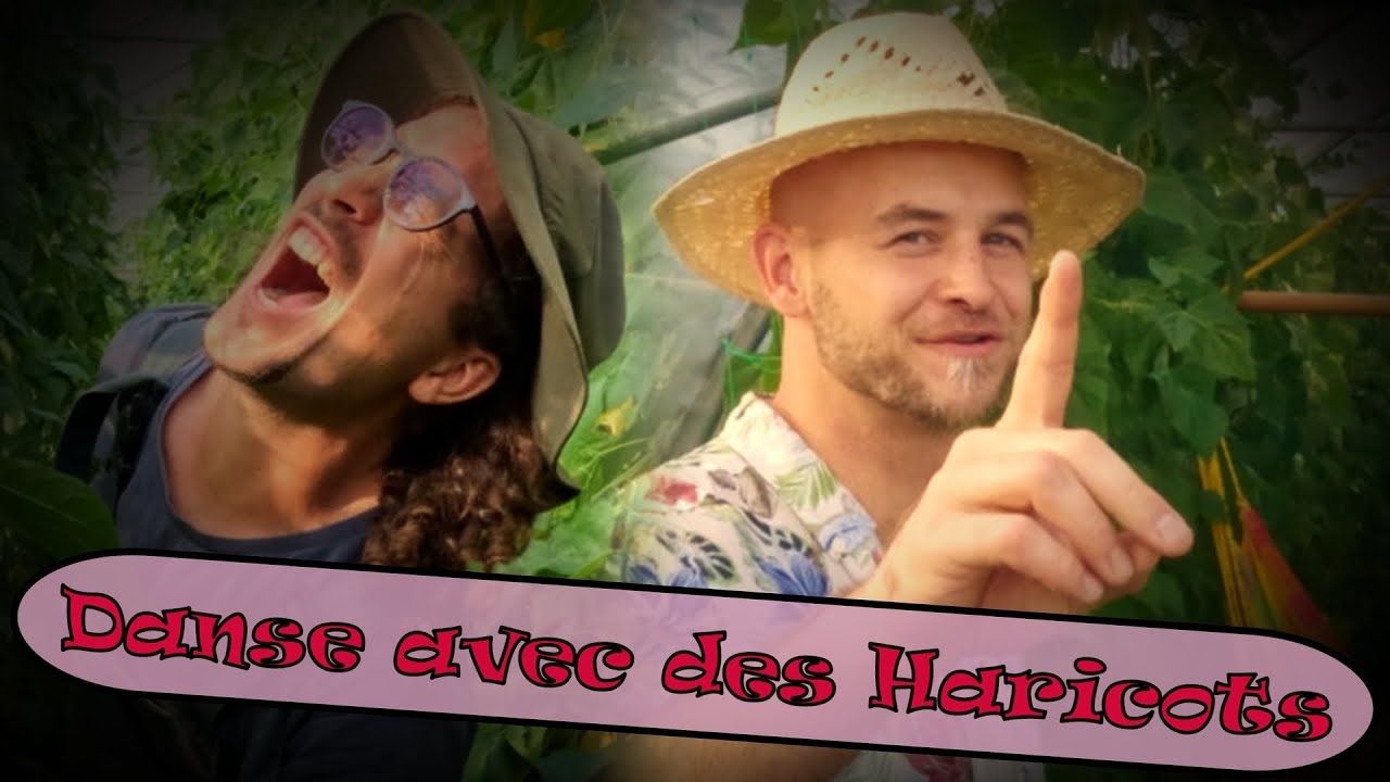 Des Haricots ( Despacito ) ft. La Boule AZ - Luis Fonsi