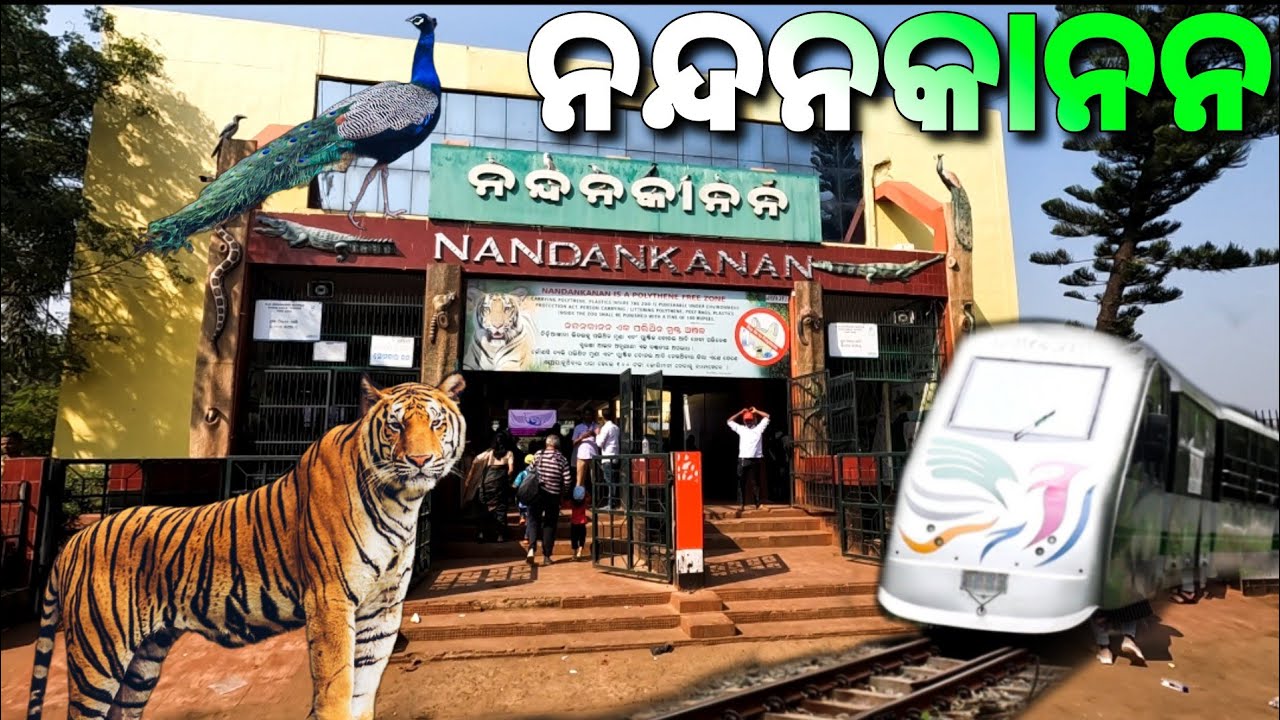 Nandankanan Zoological Park | Tiger & Lion Safari Tour | #odiavlog
