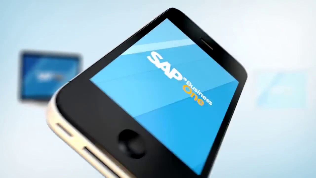 SAP Business One in 60 seconds | Vision33