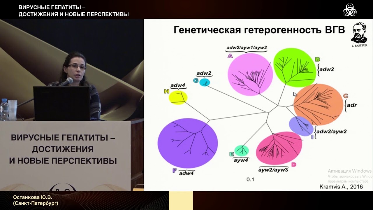 Формирование HBsAg-негативной формы ВГВ и развитие мутаций лекарственной устойчивости ВГВ ...