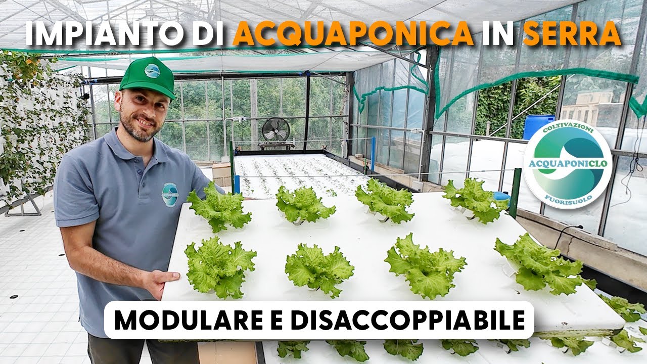 IMPIANTO DI ACQUAPONICA IN SERRA 🧑🏼‍🌾🌿 - MODULARE E DISACCOPPIABILE