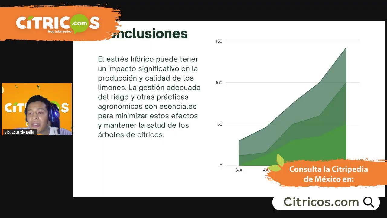 Que aplicar contra el estrés hídrico en cítricos 🍂🍋💀