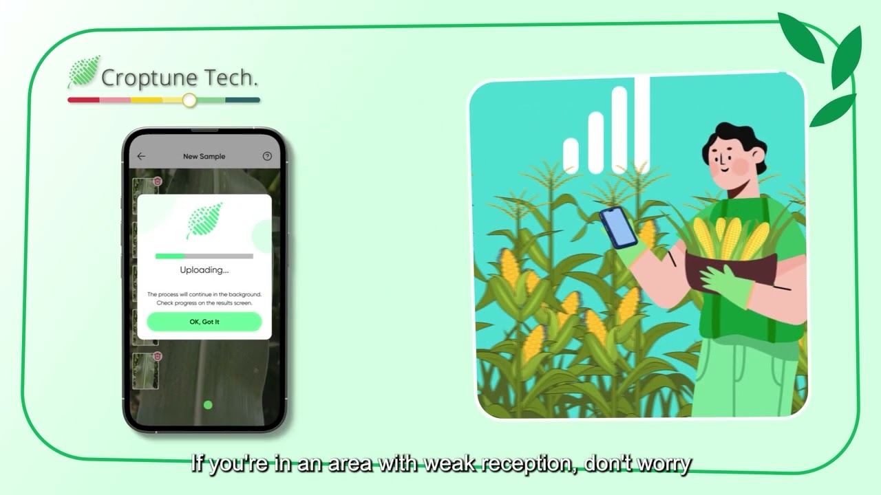 How to Take a Picture with Croptune | Get Accurate Nitrogen Insights - Just by Taking a Photo