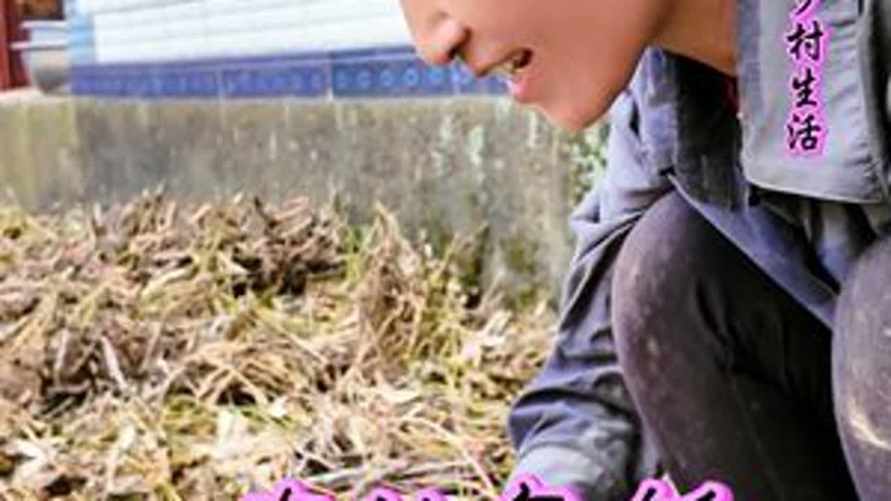 山区农村秋收时节…平凡简单的午饭… 农村生活、山里人家、大山里的生活、乡村振兴、服务三农支持三农、大山里的味道、抖音记录我的日常生活、记录美好生活…#乡村守护人 #乡愁记忆 #新农人计划2025...
