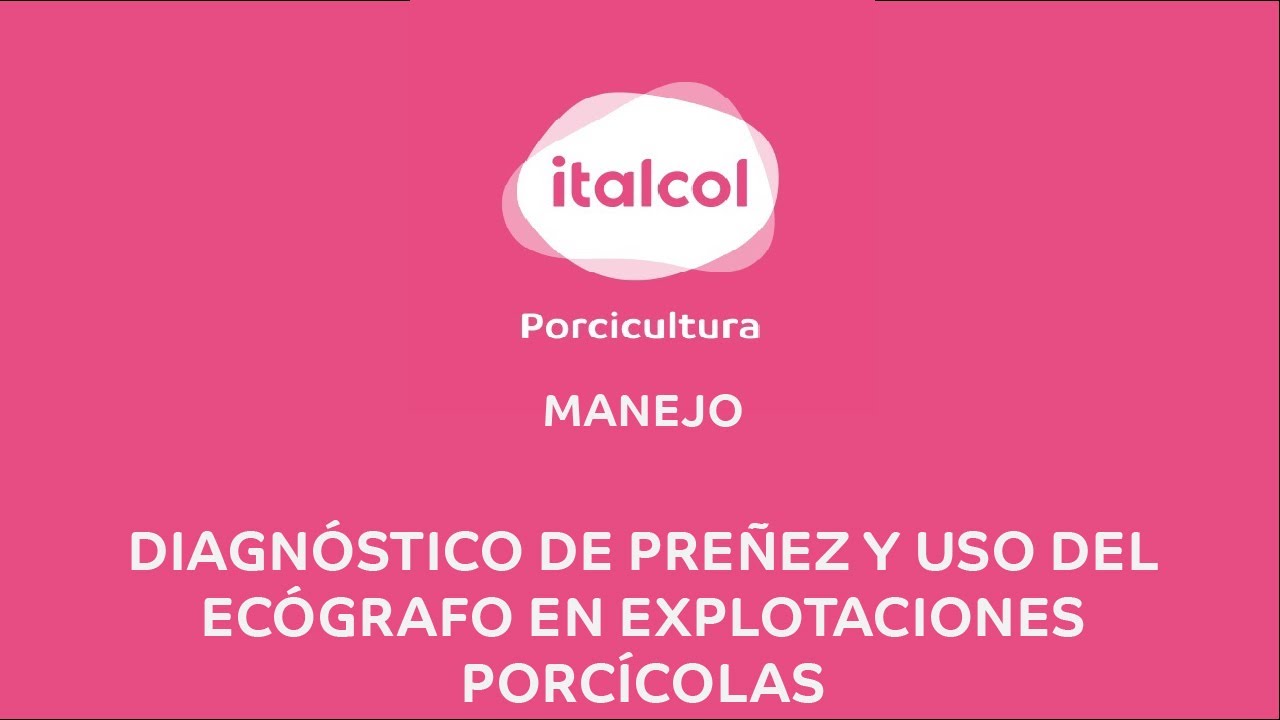 MANEJO -  Diagnóstico de preñez y uso del ecógrafo en explotaciones porcícolas