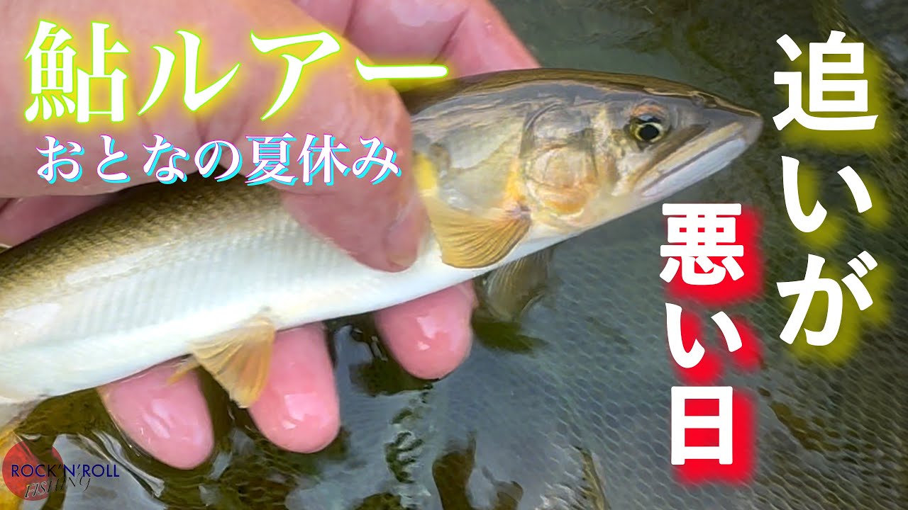 【アユイング】追いが悪い日は『掛かる鮎』だけを拾っていく戦略で 〜三重県 大内山川〜