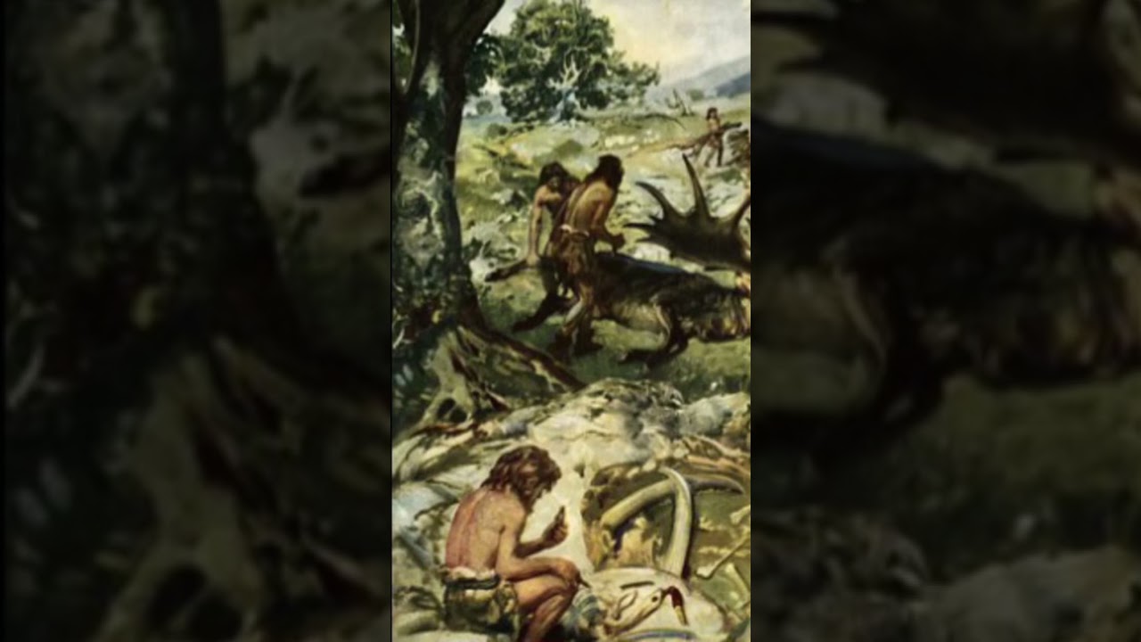 The age of transition - Mesolithic Age