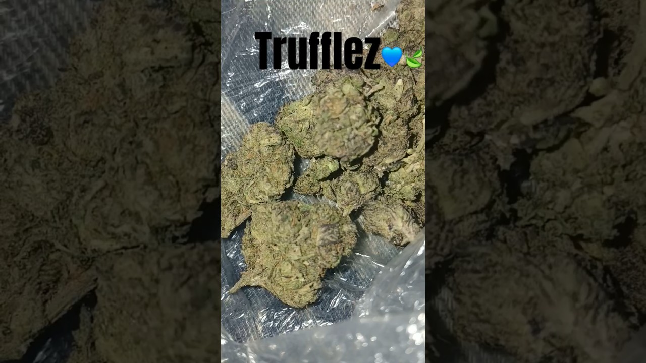 Truffles  🔥  smoke #indica #dominate #hybrid
