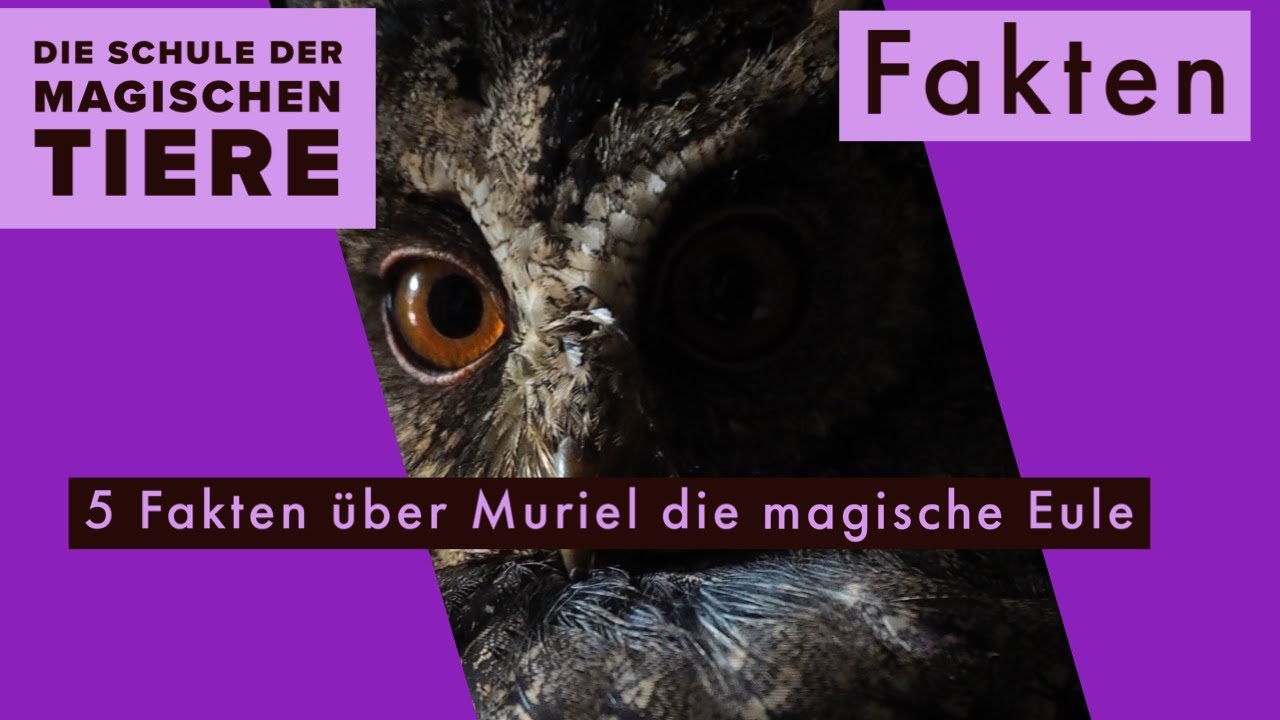5 Spannende Fakten über die magische Eule Muriel/ Schule der magischen Tiere Fakten