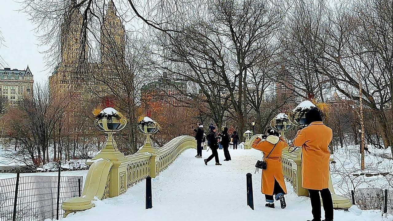 Funs in Freezing NYC! Beautiful Snowy Central Park and Frozen Bryant Park After Big Storm