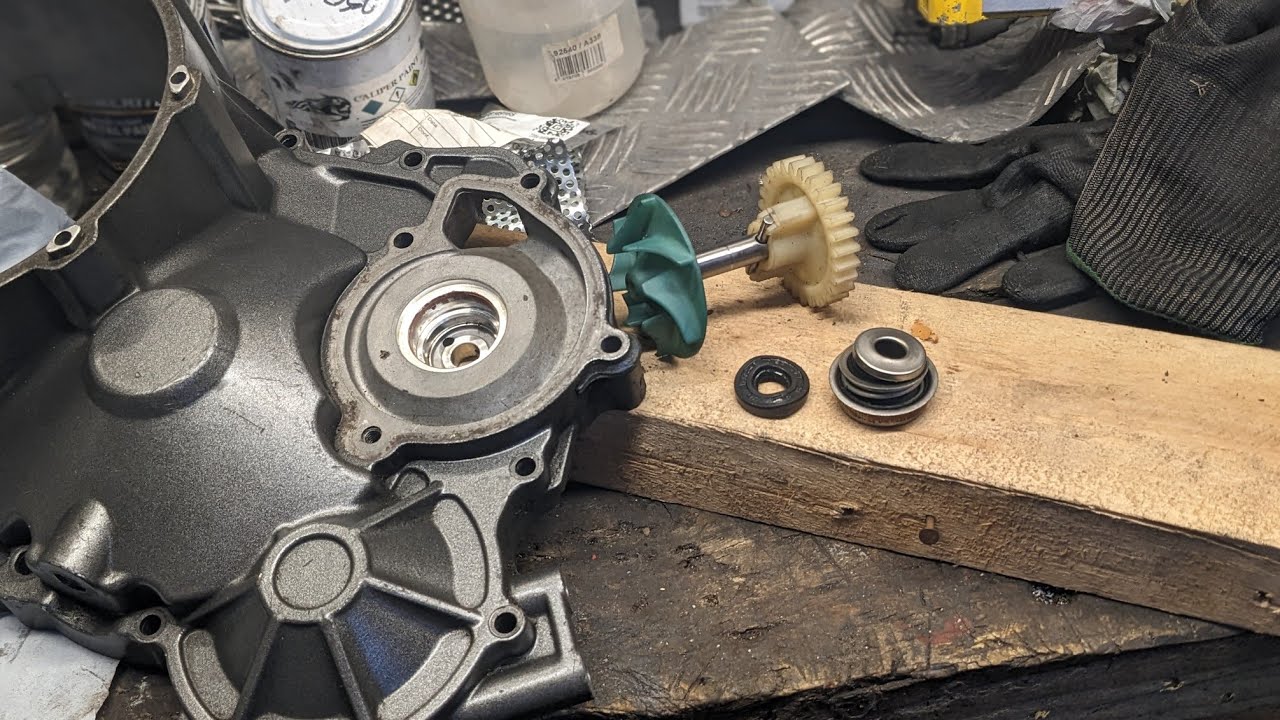 Aprilia Caponord ,RSV, Tuono Water Pump  Strip Down and Seal Removal 