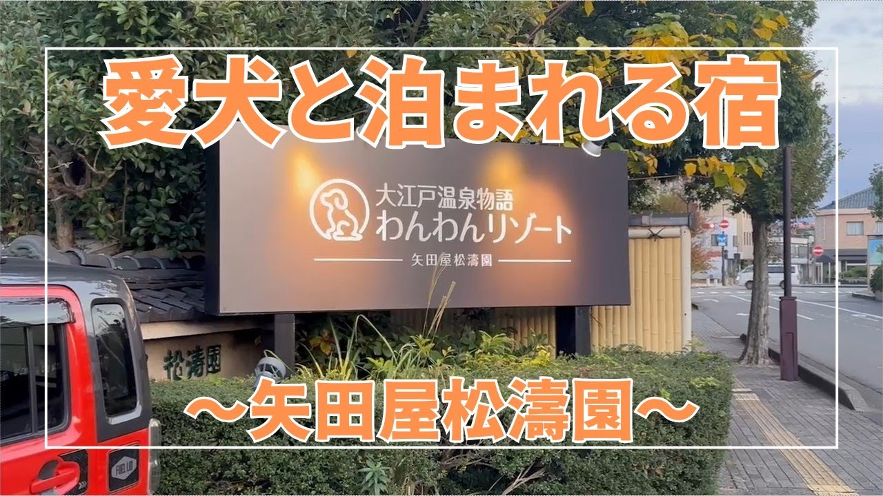 【Vlog】お好み焼73の日常#31　大江戸温泉物語わんわんリゾート 矢田屋松濤園