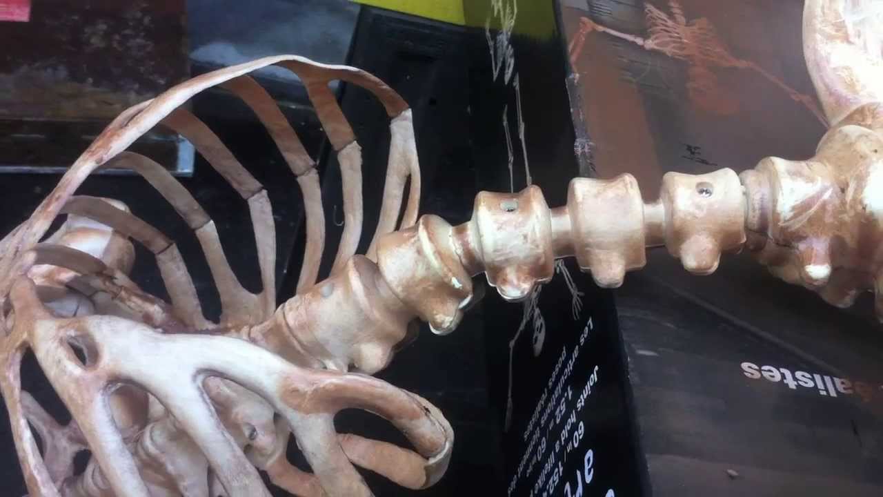 Getting the Most of a Cheap Skeleton