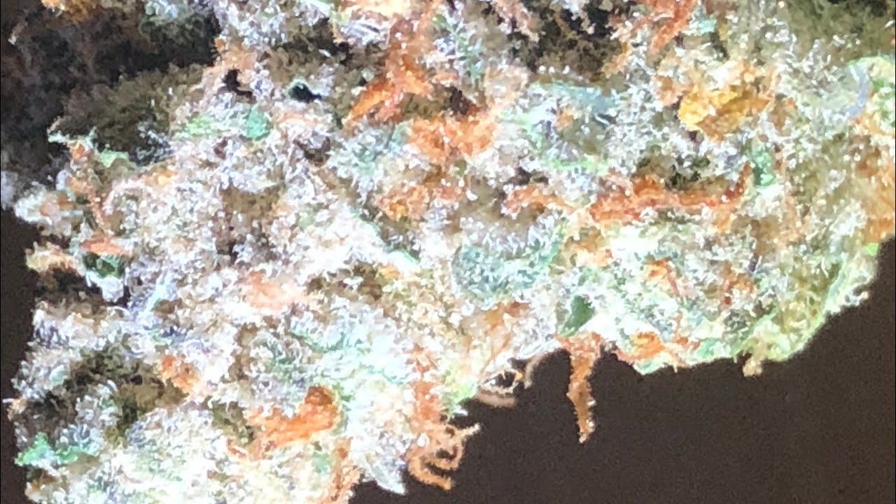 Strawberries n cream strain review
