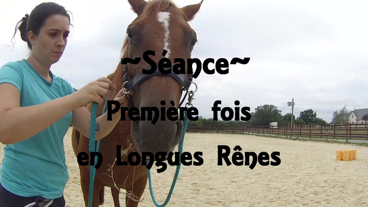 Séance - Première fois en Longues Rênes