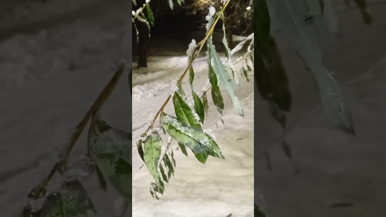 Харьков.Ничтоже сумняшеся это не ничтожная сомневающаяся,а ничуть не сомневаясь!🔥