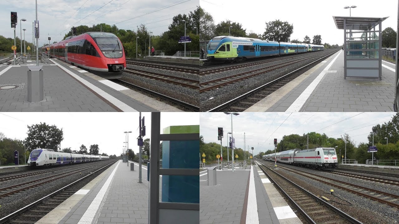 Bahnverkehr in Münster-Zentrum Nord mit IC Umleitern, IC2, Br643, Talent 2, Br 427 und 1428