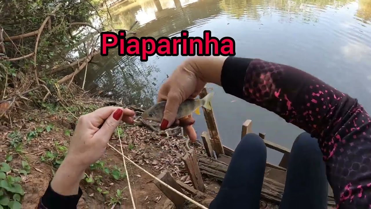 4 HORAS DE PESCARIA NO RIO TURVO E VEJA O RESULTADO