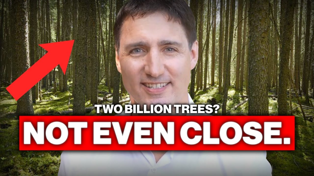 Two billion trees? Not even close.