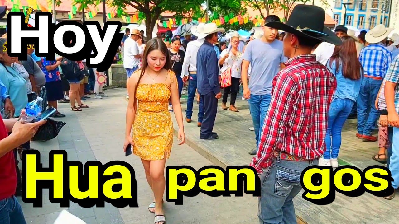 🛑🤩 YA EMPEZÓ EL GUATEQUE! A BAILAR EN XILITLA!🤩🛑