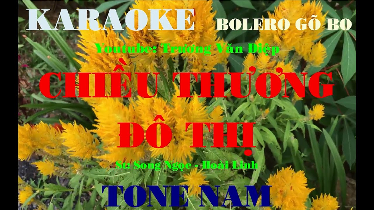 Karaoke Chiều Thương Đô Thị Tone Nam Gõ Bo | Trương Văn Điệp