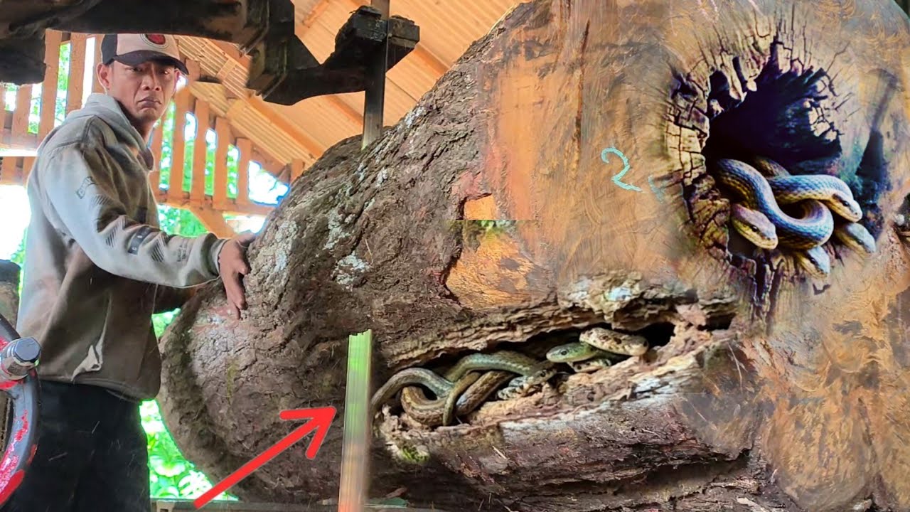 Almost didn't know this!! Death occurred while sawing ghost wood inside the sawmill
