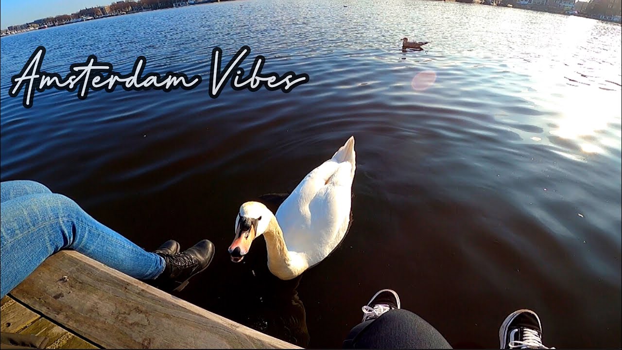 Chillin’ in Dam Square & Oosterdok with MsSativaDiva | Amsterdam 2021