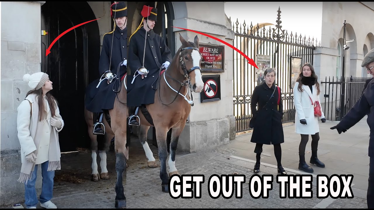 IT'S the Brilliant Gunner AGAIN!! Yes YOU LADIES!! GET OUT OF THE BOX!!