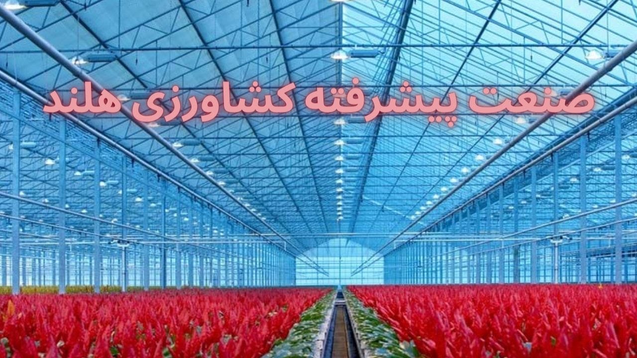 صنعت پیشرفته کشاورزی هلند