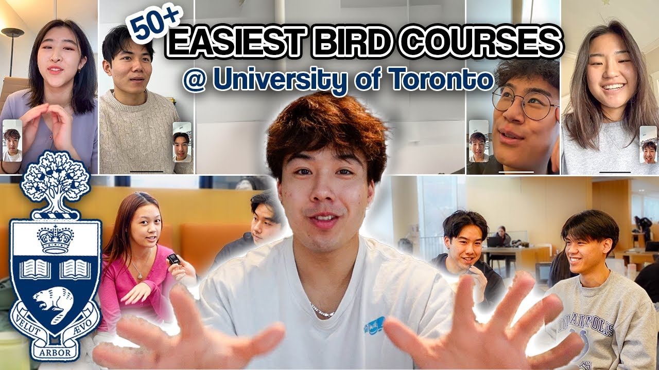 КУРСЫ EASY BIRD В UofT | Отзывы студентов и многое другое