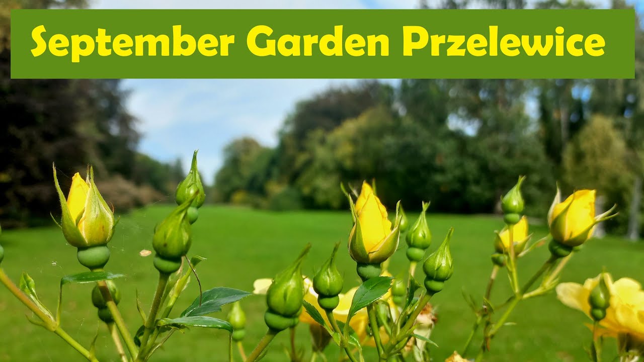 Walking in Poland. September Garden Przelewice in Western Pomerania