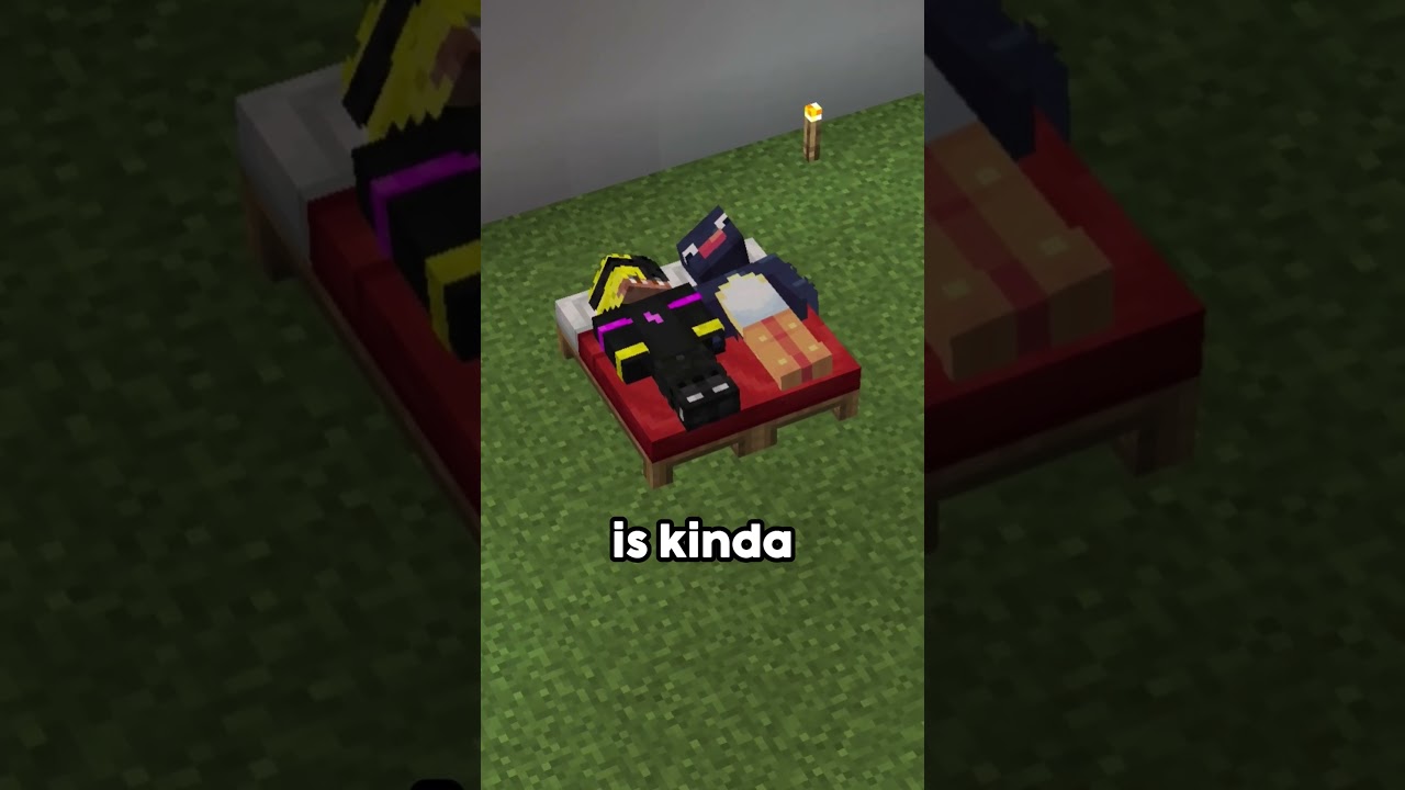 3 Gay Minecraft Facts!