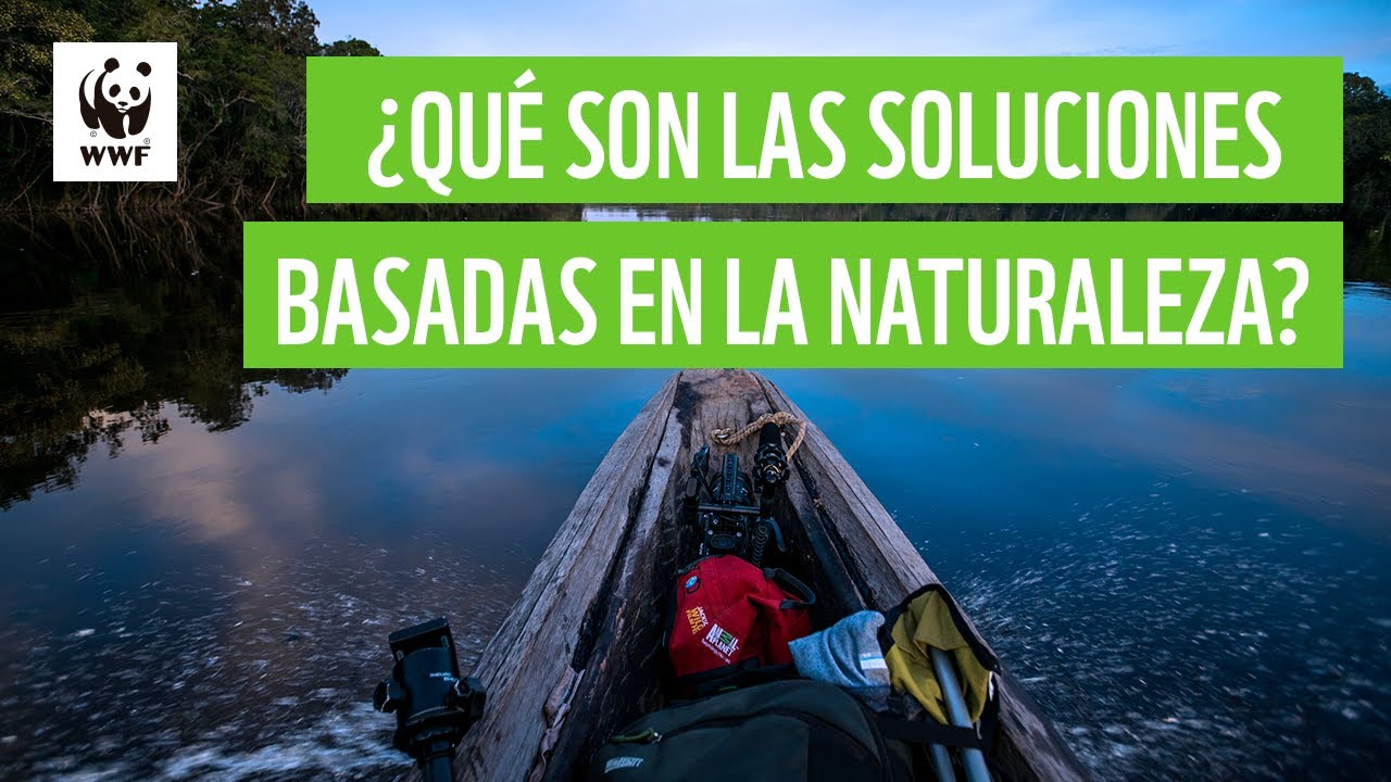 ¿Qué son las soluciones basadas en la naturaleza? | WWF Colombia