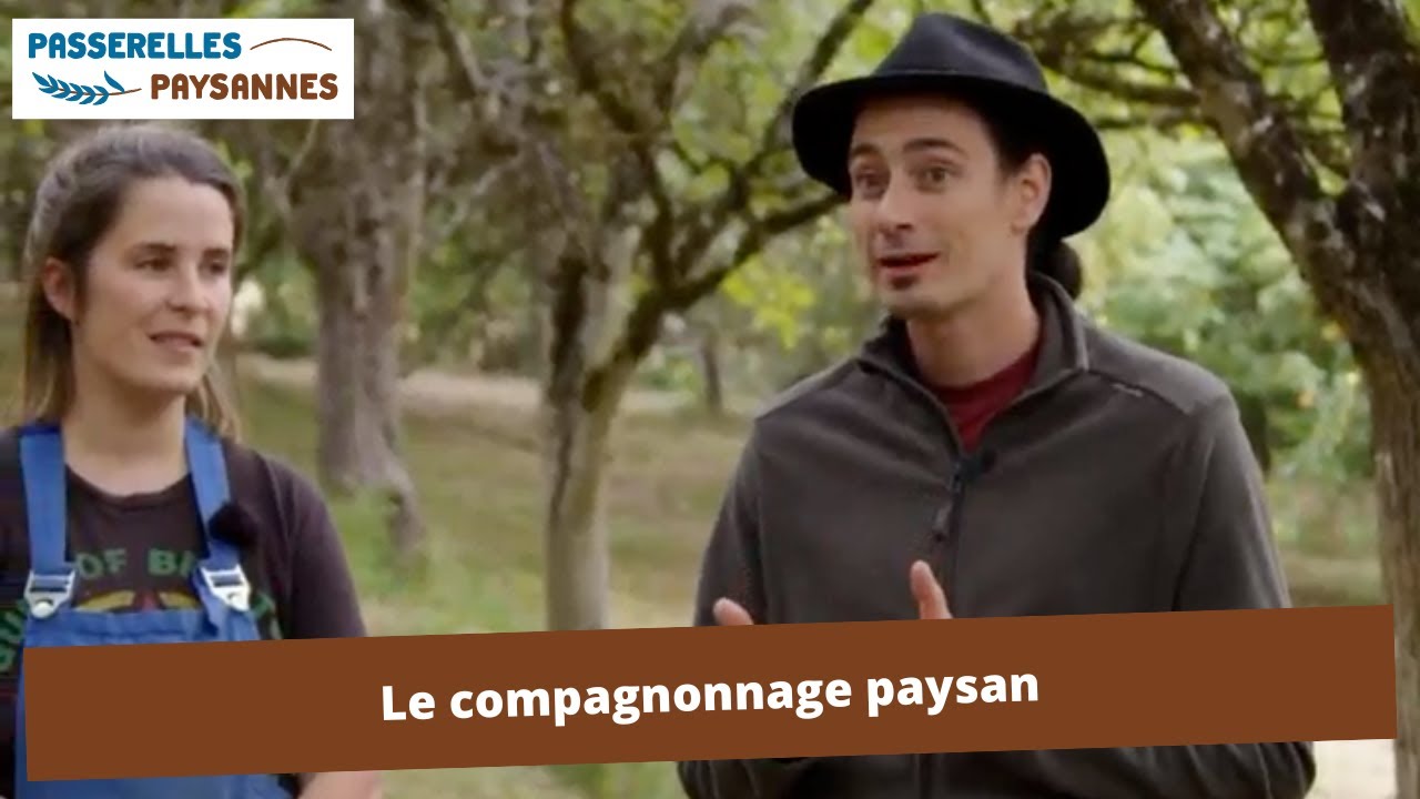 Témoignage sur le compagnonnage paysan : Bérénice au sein du GAEC La Ferme de la Rauze