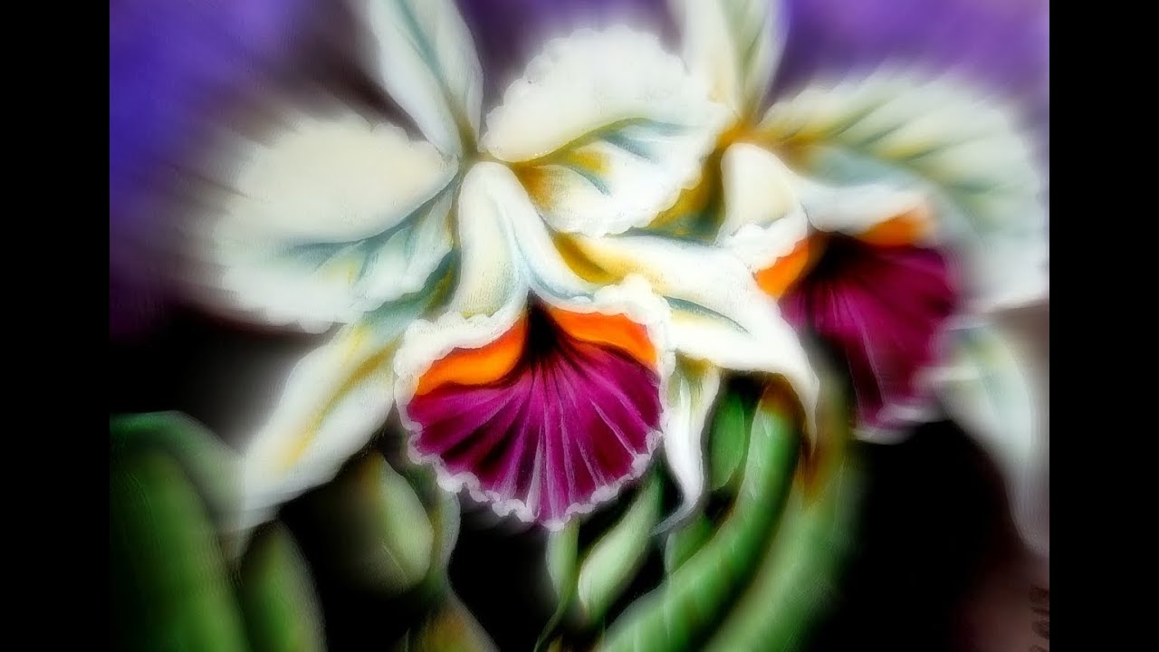 Como Pintar Orquídeas no Tecido.